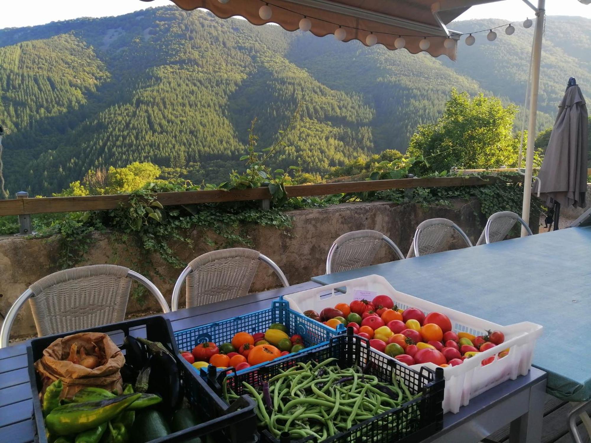 Les Chambres De La Ferme De Chalas Valgorge Exteriör bild